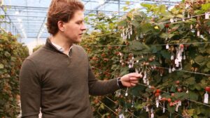Data in de glastuinbouw
