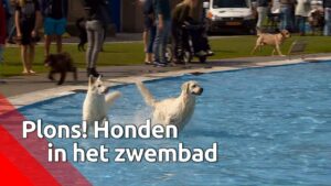 De Onderwerpen in het MAGAZINE: Vrijdag 1 oktober tussen 18 – 20 uur op Radio RTV Lansingerland