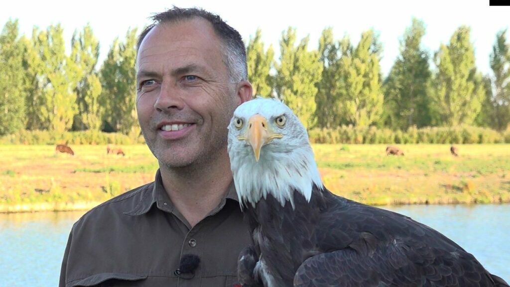 Volwassenen als een kind zo enthousiast bij workshop op de roofvogelboerderij: ‘Dit is een andere klasse’