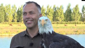 Volwassenen als een kind zo enthousiast bij workshop op de roofvogelboerderij: ‘Dit is een andere klasse’