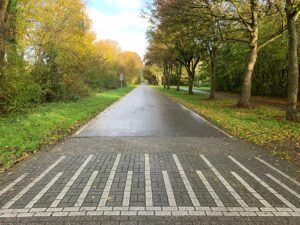 Hondje Toos werd bruut overreden door een hardrijder, baasje René start petitie voor veiligere verkeerssituatie