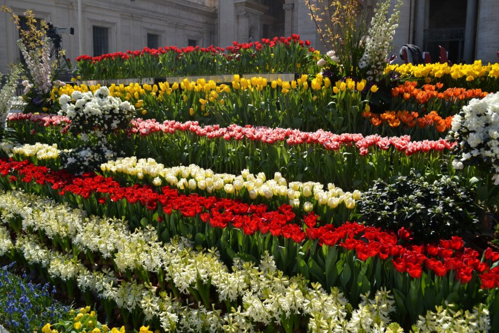 Deel 2: Een gift voor de paus: Bedankt voor de bloemen!