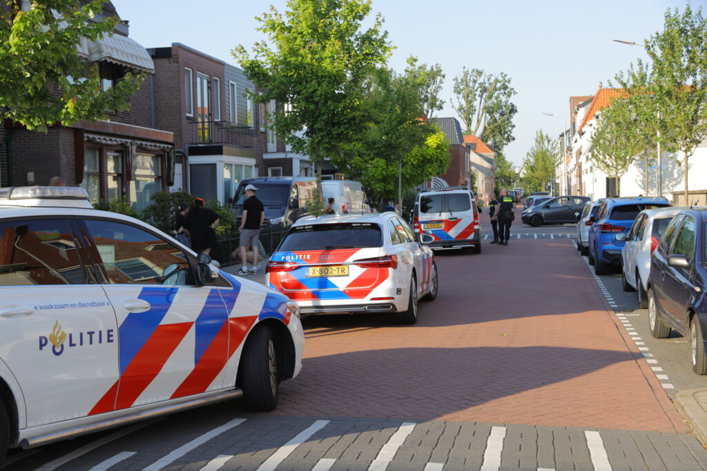 BUREN: STEEKPARTIJ IN PIJNACKER, OF TOCH ONGELUK?