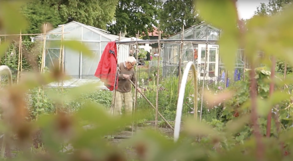 Open Dag bij Moestuinvereniging Berkelhof