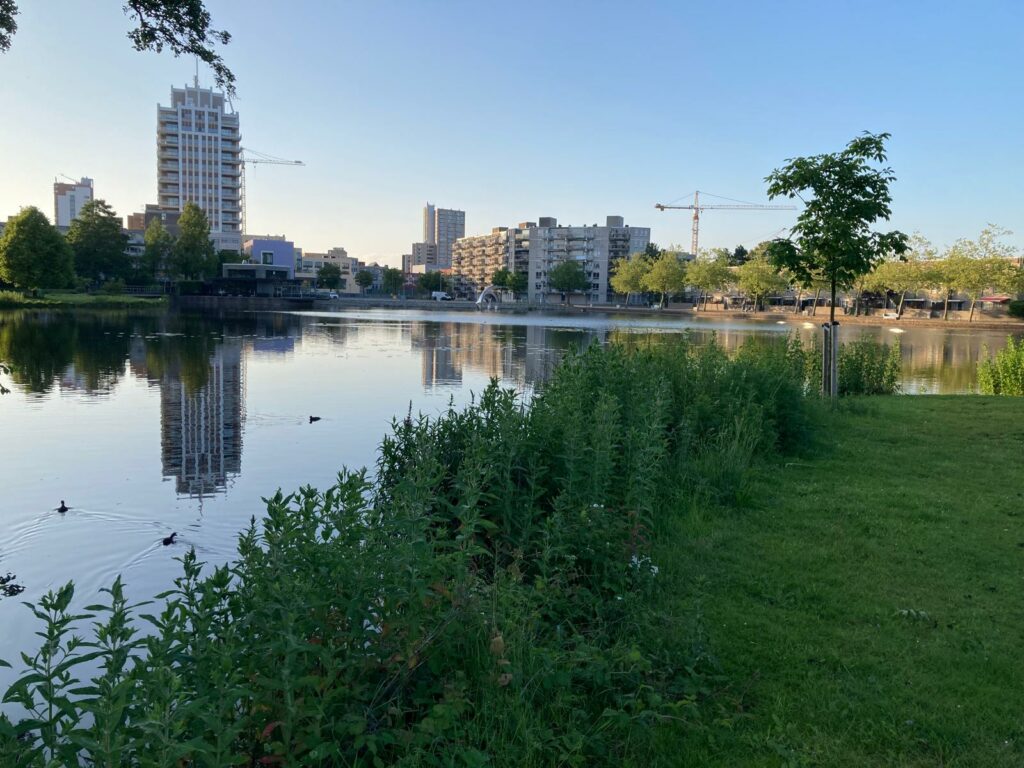 VEEL ZORGEN RONDOM CENTRAL PARK