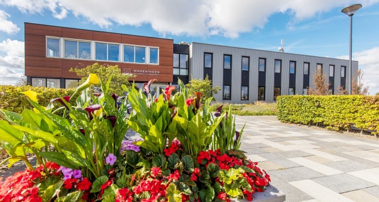 Loet Rummenie nieuwe directeur van HortiScience Innovation Center in Bleiswijk