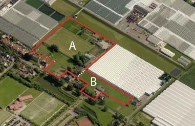 Raad van State beslist; huizen mogen niet te dicht bij kassen worden gebouwd