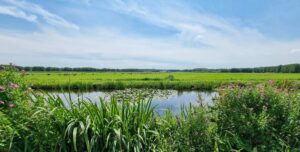 Ontdek en bleef water met Natuurlijk Delfland