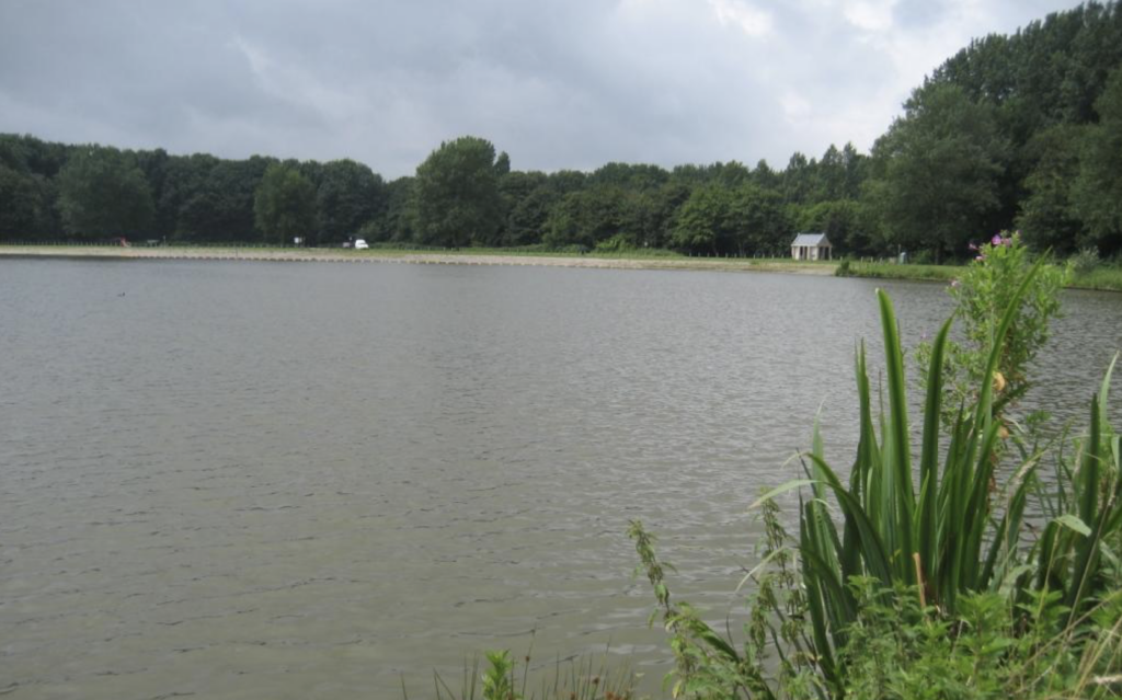 Negatief zwemadvies voor Bleiswijkse Zoom vanwege blauwalg