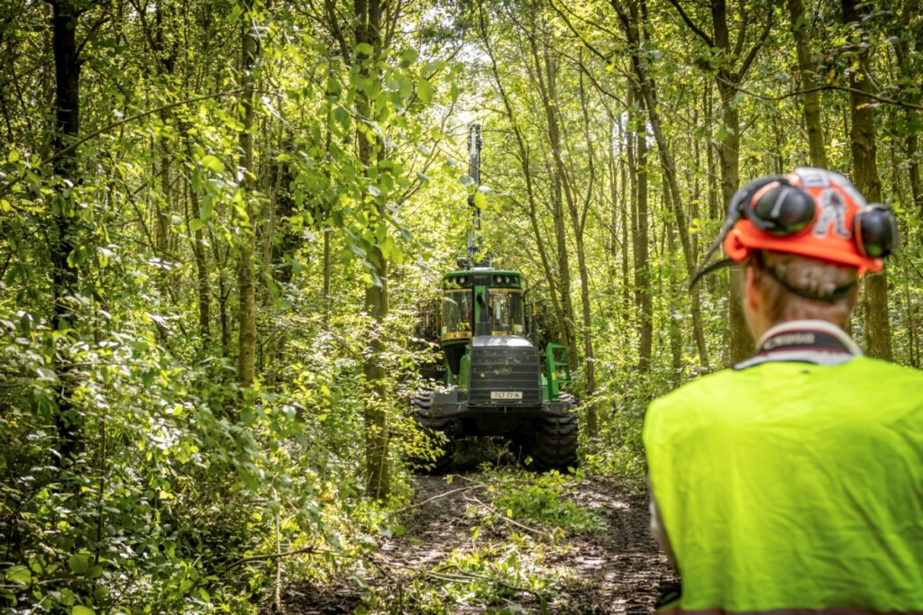 Werkzaamheden Staatsbosbeheer in Bentwoud