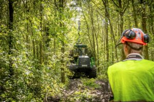 Werkzaamheden Staatsbosbeheer in Bentwoud