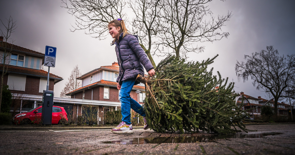 Uw kerstboom is geld waard!