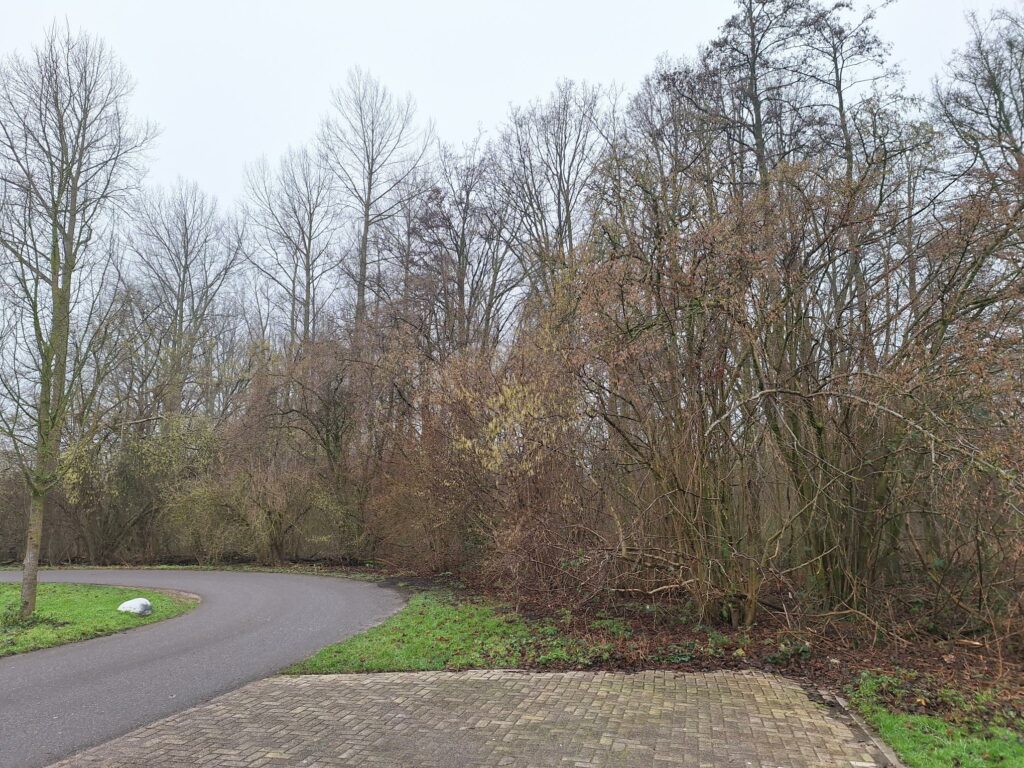 Start uitbreiding parkeerplaats Muizenplaats