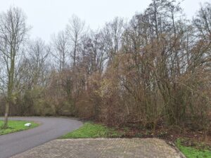 Start uitbreiding parkeerplaats Muizenplaats