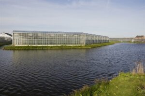 Delfland grijpt stevig in tegen watervervuiling in glastuinbouw