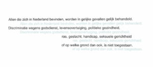 Column: Discriminatie? Niet in de raadszaal. Toch?