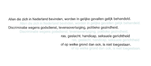 Column: Discriminatie? Niet in de raadszaal. Toch?