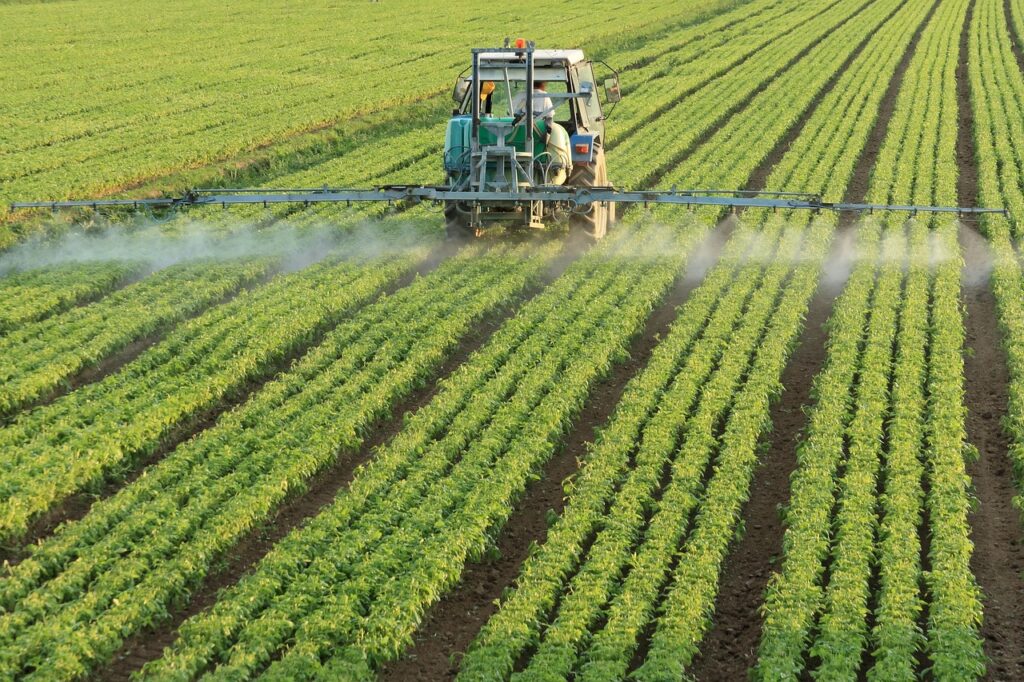 Rijnland gaat bodemdaling sneller aanpakken met hoger waterpeil