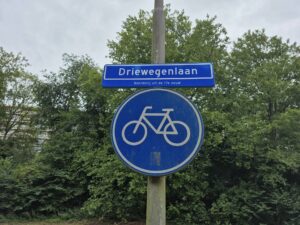 Driewegenlaan hangt er al: Boerhaavelaan omgedoopt in nieuwe naam
