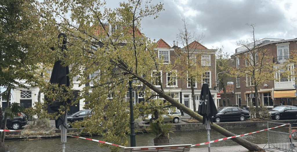 KNMI geeft code oranje af: zware storm op komst
