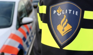 Bestuurder aangehouden na botsing op N209 bij Bleiswijk