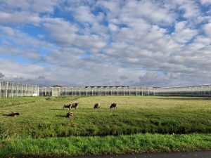 Omgevingsvisie 2.0: bewoners vragen bescherming, politiek zoekt balans