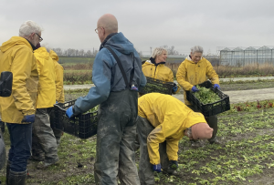 Zo runnen vijfhonderd mensen samen één boerderij: ‘Hier betaal je door te schoffelen’