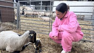 Geboortegolf bij Belevenisboerderij: “Dit heb ik nog nooit meegemaakt”