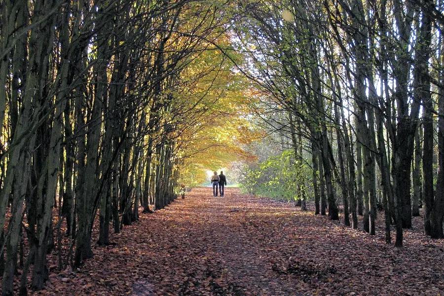 Politie dringend op zoek naar aanrander die toesloeg in natuurgebied