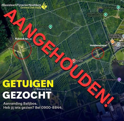 Verdachte aanrandingen aangehouden