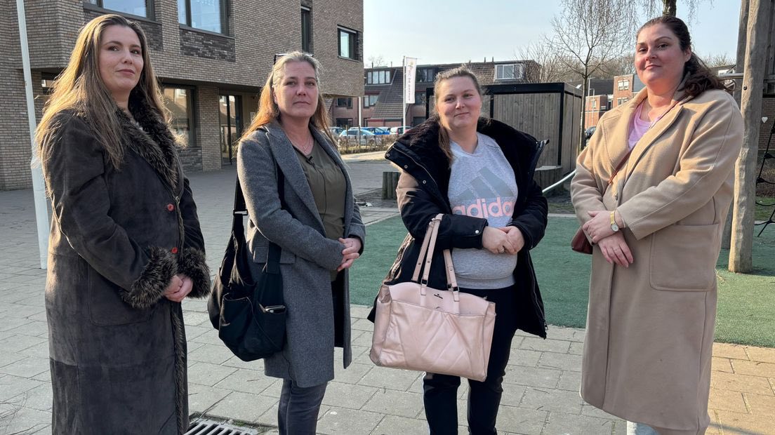 School wil hek om schoolplein, maar kunst staat in de weg