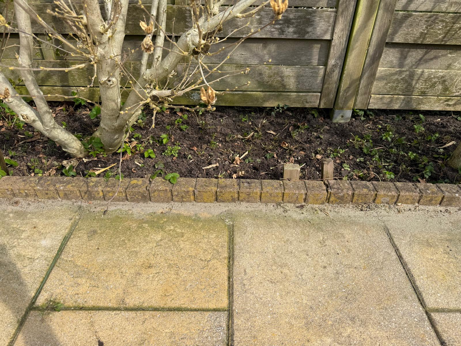 Zoetermeer doet mee aan NK Tegelwippen, maar staat nog op één tegel