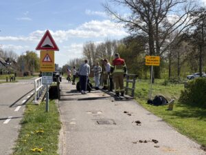 Paard komt vast te zitten in gat van brug Hoeksekade in Bergschenhoek