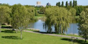 Onderzoek naar Zoetermeer als ‘nationaal park stad’ uitgesteld: meer tijd nodig voor groenplan