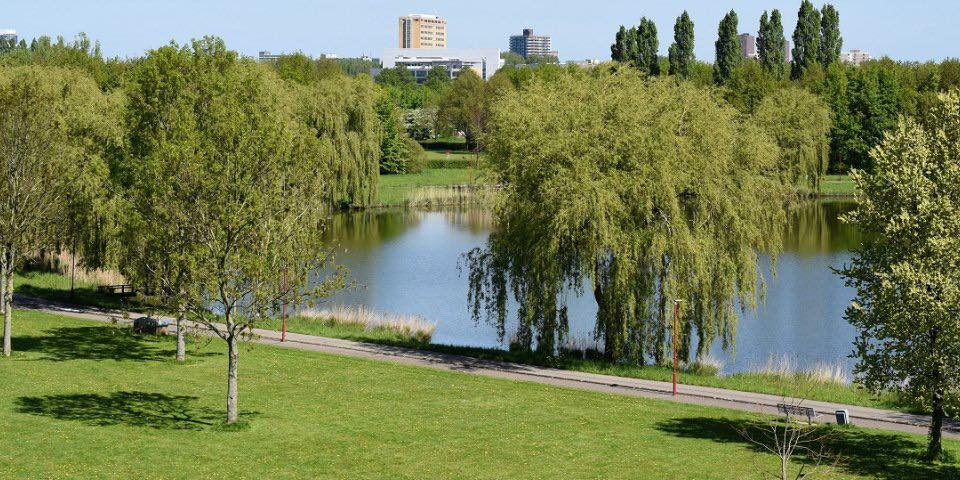 Onderzoek naar Zoetermeer als ‘nationaal park stad’ uitgesteld: meer tijd nodig voor groenplan