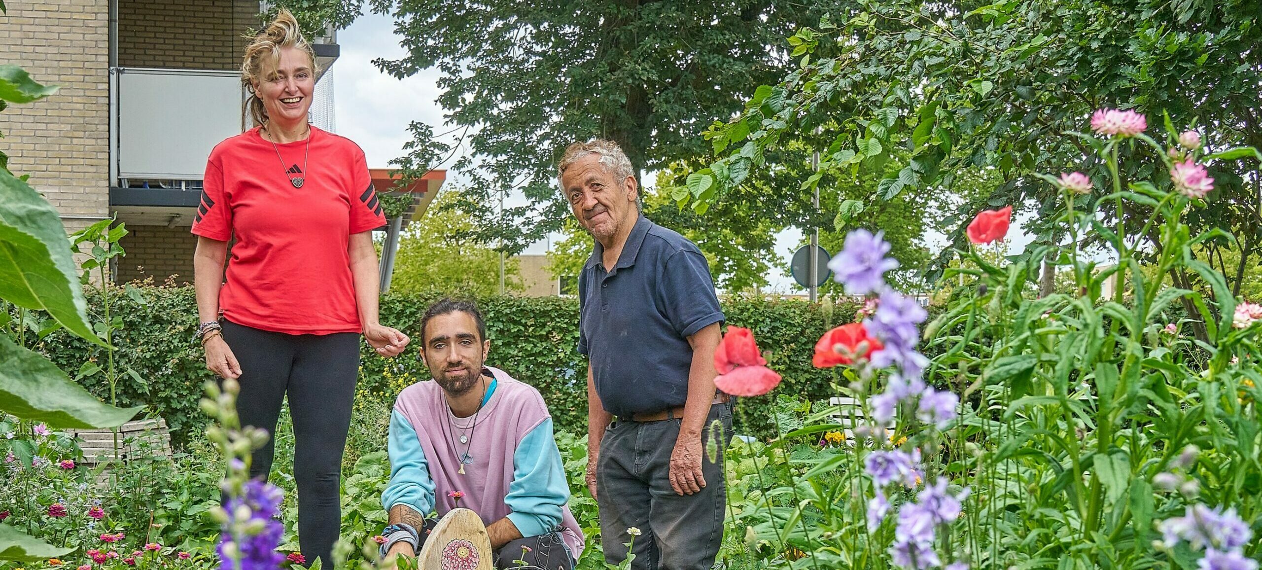 Meehelpen in het groen? Wijktuin Noordhove zoekt vrijwilligers
