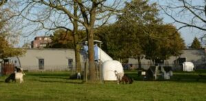 Zoetermeer investeert verder in speel- en stadsboerderijen