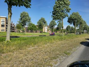 41e Beatrixrun rijdt dwars door Lansingerland