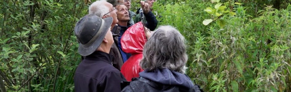 Rotta organiseert opnieuw zomerexcursies door het Koornmolengat