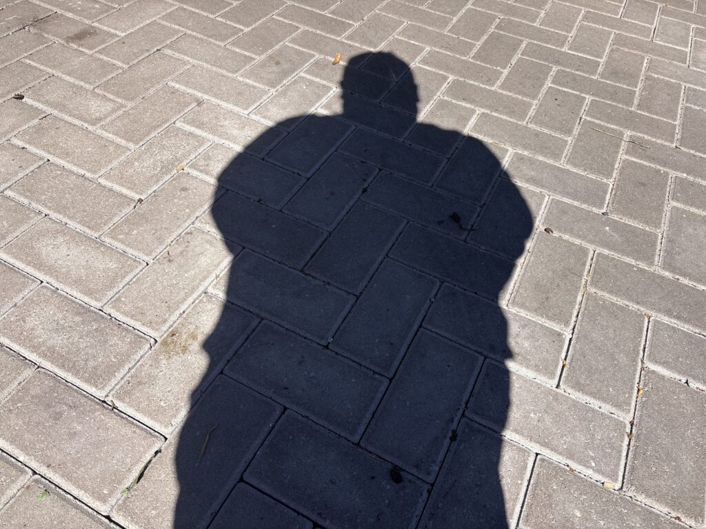 PVV stelt vragen over inburgering in Zoetermeer na landelijke CBS-cijfers