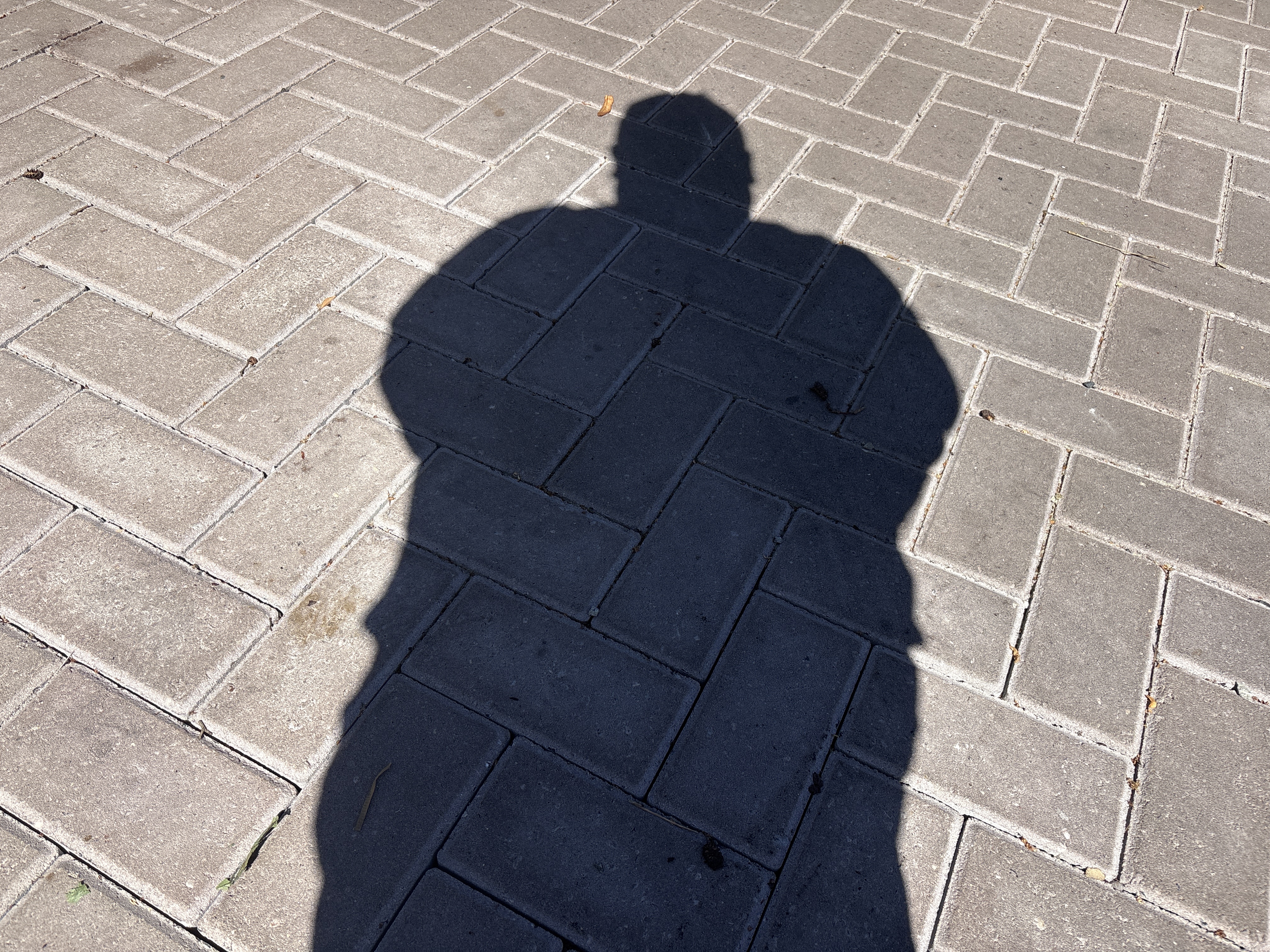 PVV stelt vragen over inburgering in Zoetermeer na landelijke CBS-cijfers
