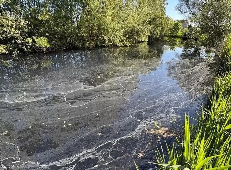 Waterproblemen in Zoetermeer slepen voort: waarschuwing voor Zoeterhage en Van Tuyllpark blijft gelden