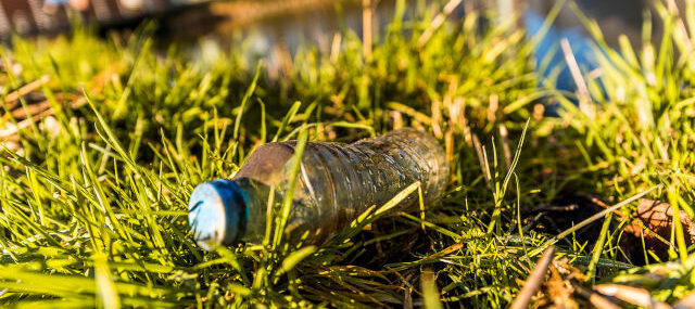 Lansingerland doet mee aan World Cleanup Day
