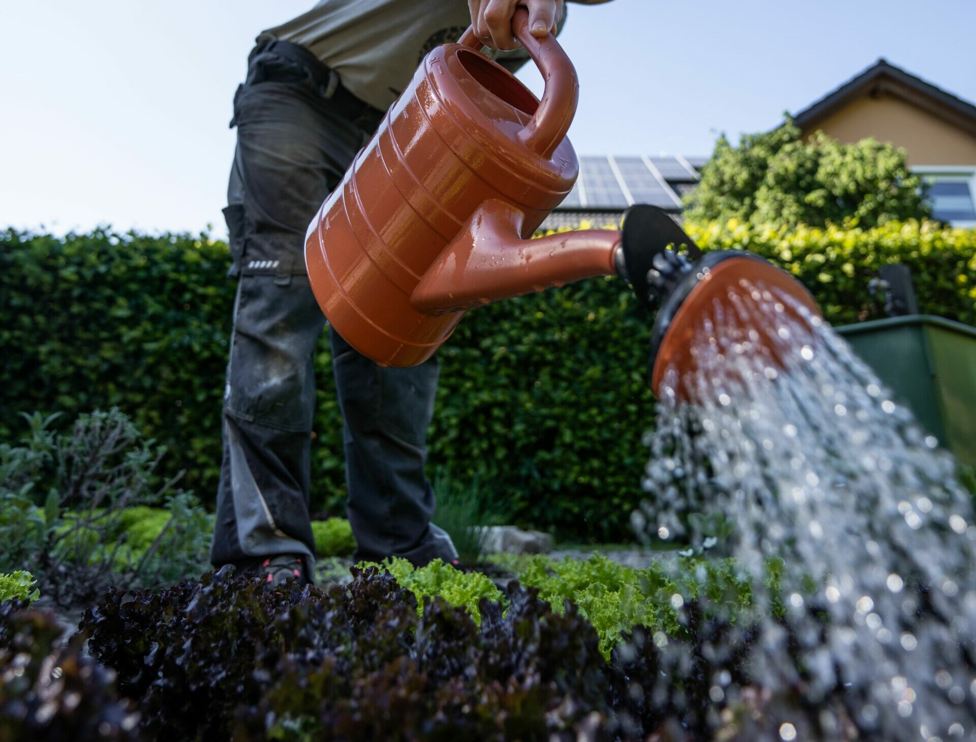 Nooit eerder getroffen droogtemaatregelen van kracht: dit betekent het voor de regio