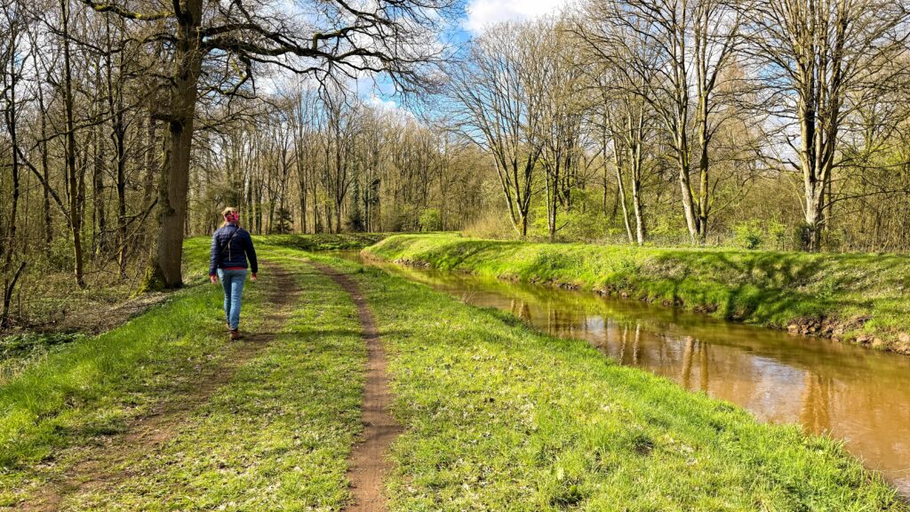 Bergse Bos Wandeltocht voert wandelaars langs verrassende paden en molens