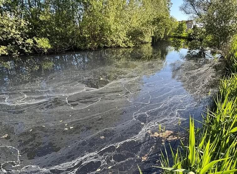 Opnieuw vervuild slootwater rond Van Tuyllpark door rioolwater